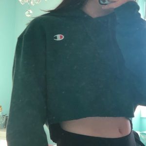 super trendy and cute champion cropped hoodie!